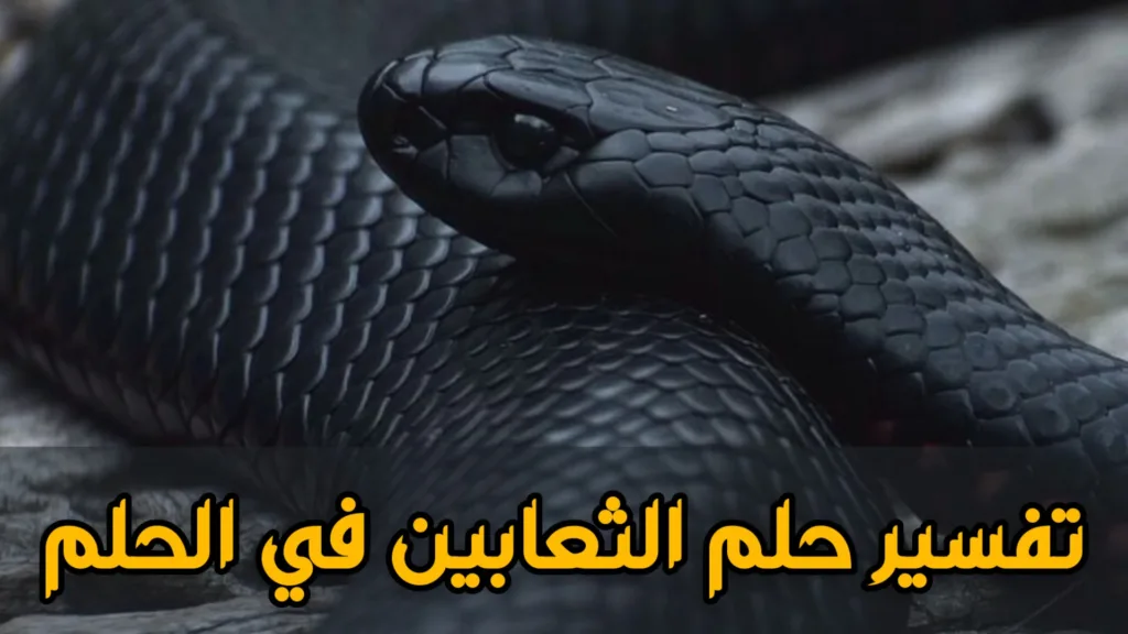 تفسير حلم الثعابين في الحلم